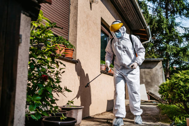 Best Bed Bug Extermination  in Bonadelle Ranchos, CA
