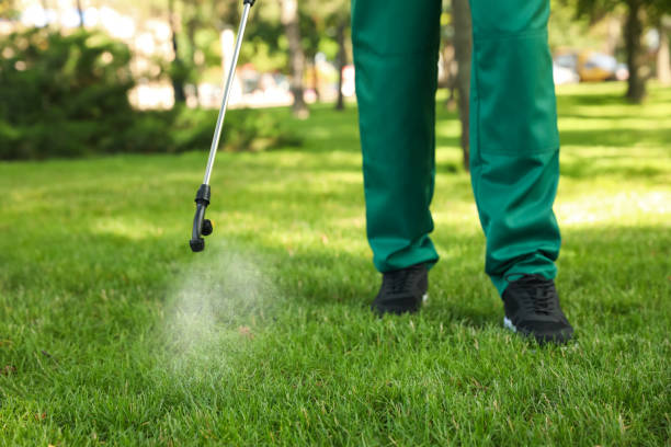 Best Bed Bug Extermination  in Bonadelle Ranchos, CA
