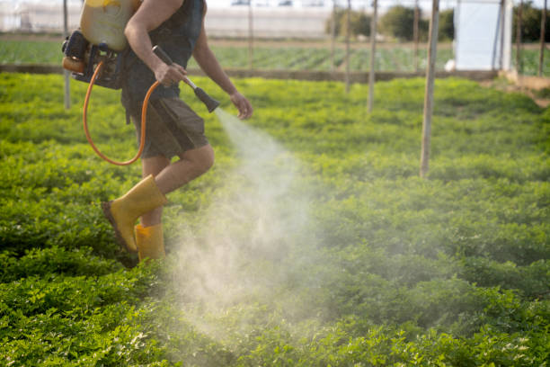 Pest Control Cost in Bonadelle Ranchos, CA