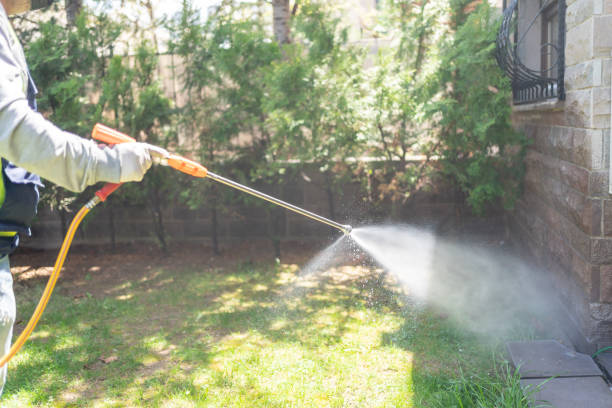 Best Pest Prevention Services  in Bonadelle Ranchos, CA