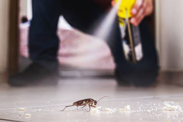 Best Mosquito Control Services  in Bonadelle Ranchos, CA