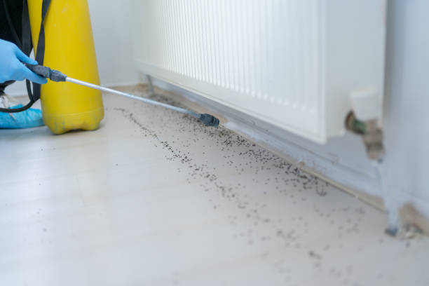 Best Best Pest Control Companies  in Bonadelle Ranchos, CA